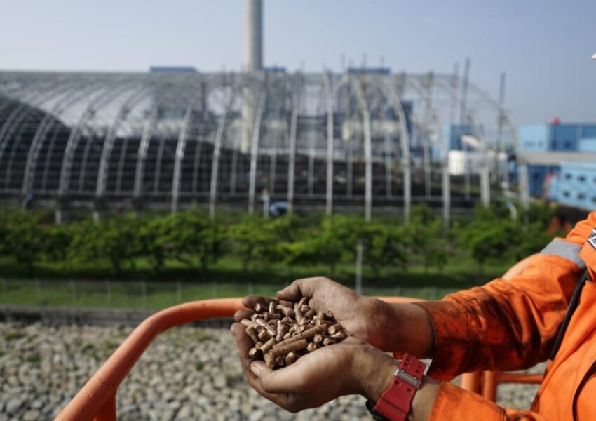 WhatsApp-Image-2023-07-22-at-17.40.45