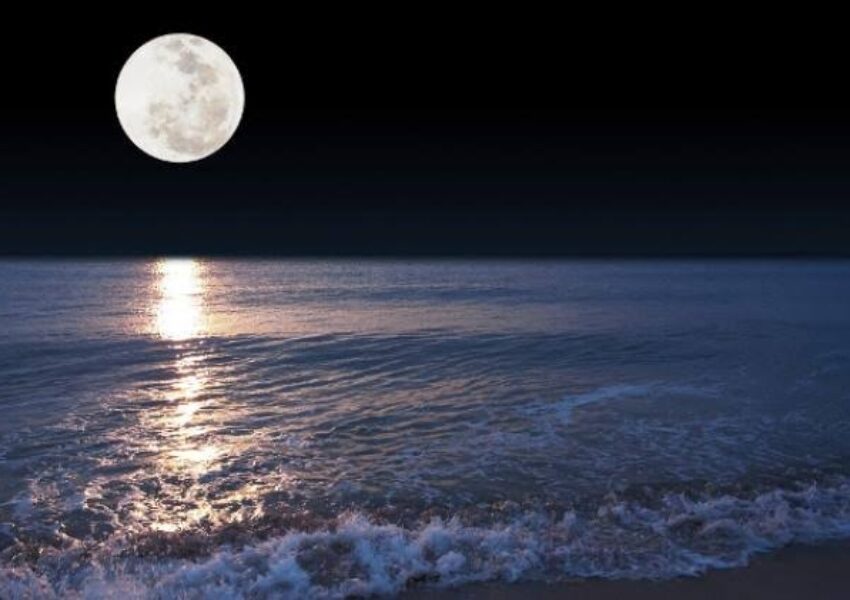 images (7)