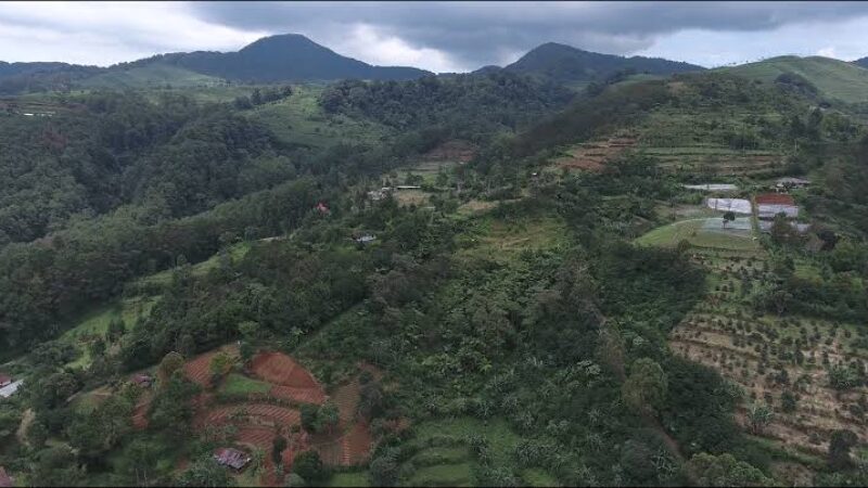 Kawasan Hutan Lindung di Puncak Bogor