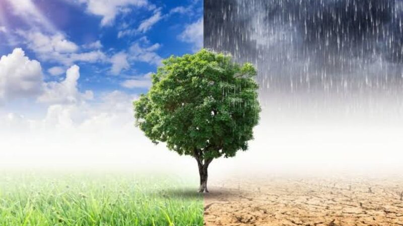 images (11)