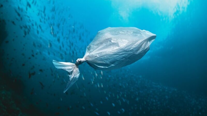 Ilustrasi Sampah Plastik di Laut (Freepik)