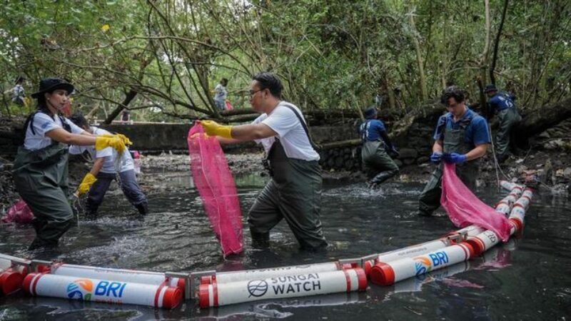 BRI Peduli bersama Sungai Watch