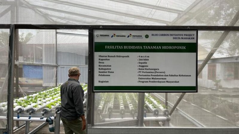 Dok-pertamina