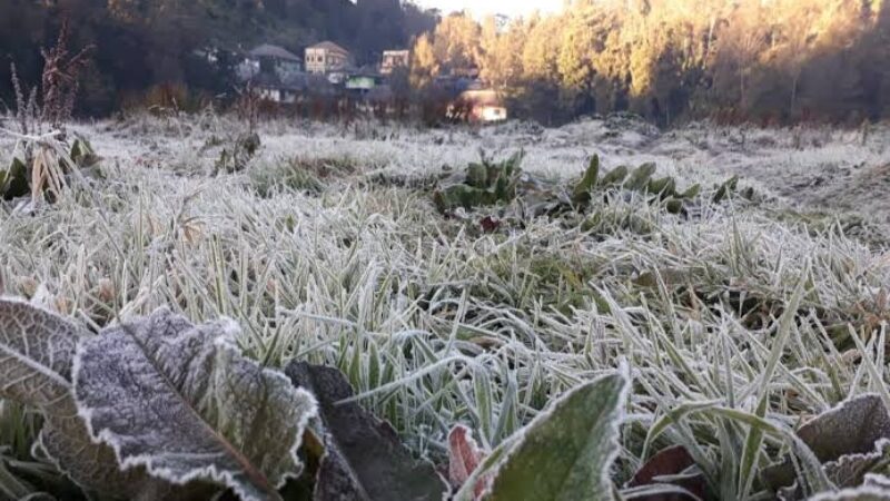 images (23)