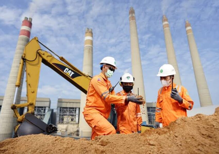 Co-firing (dok PLN)