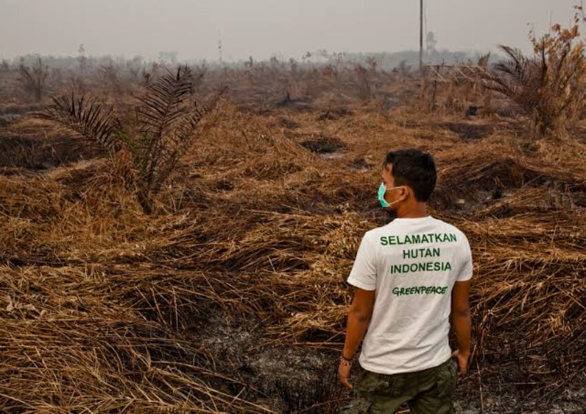 Ilustrasi aksi Greenpeace Indonesia