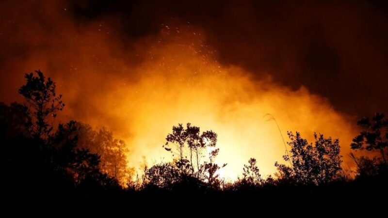 Kebakaran di Kalimantan (Reuters)