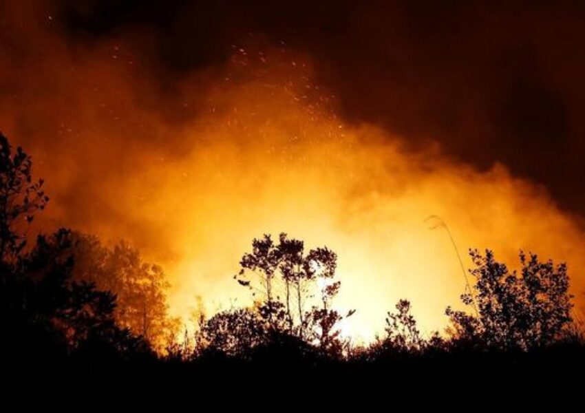 Kebakaran di Kalimantan (Reuters)