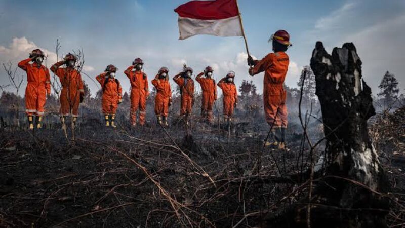 dok Greenpeace