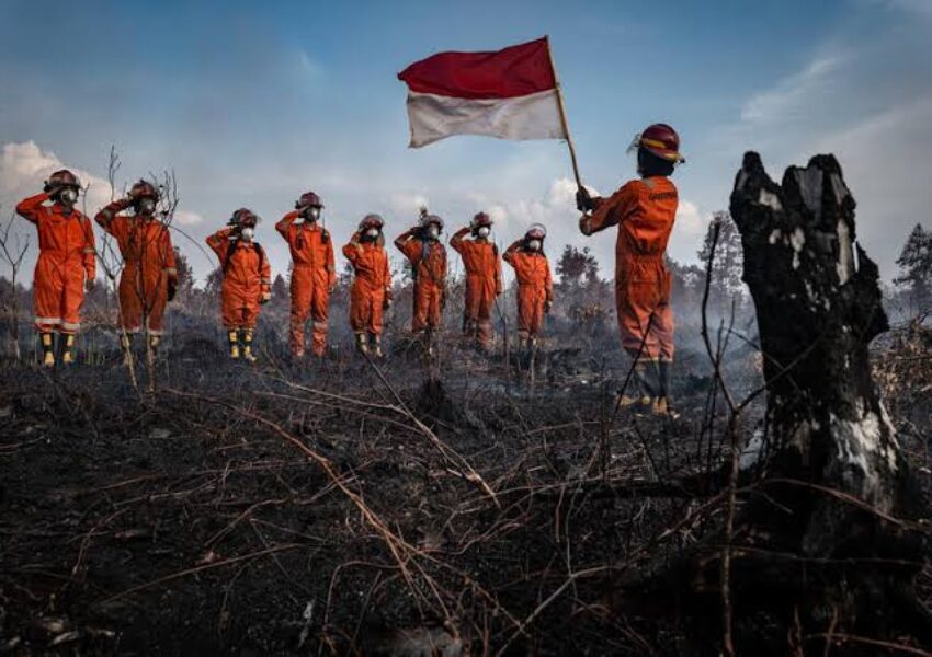 dok Greenpeace