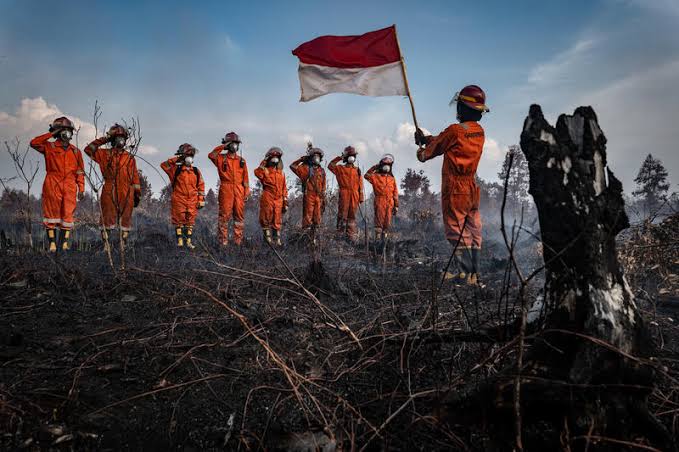 dok Greenpeace
