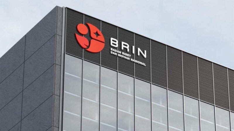 BRIN,
