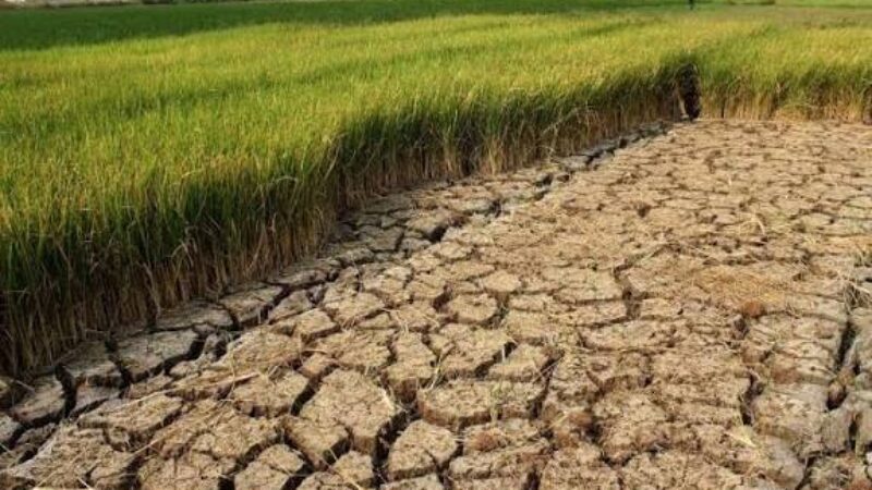 dampak perubahan iklim dampak perubahan iklim