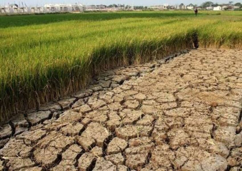 dampak perubahan iklim dampak perubahan iklim