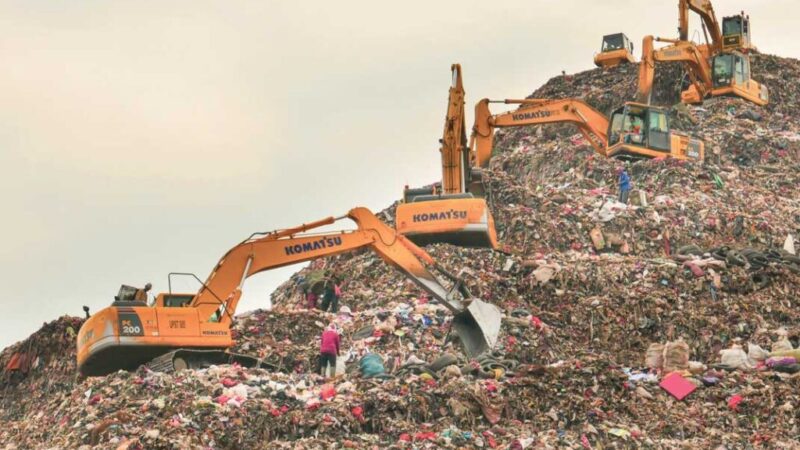 dok R Eko Tjahjono - Forest Digest dok R Eko Tjahjono - Forest Digest