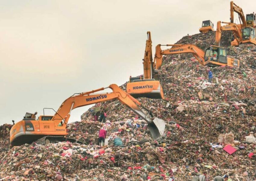 dok R Eko Tjahjono - Forest Digest dok R Eko Tjahjono - Forest Digest