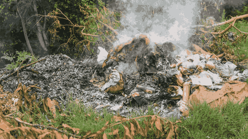 pembakaran sampah secara liar