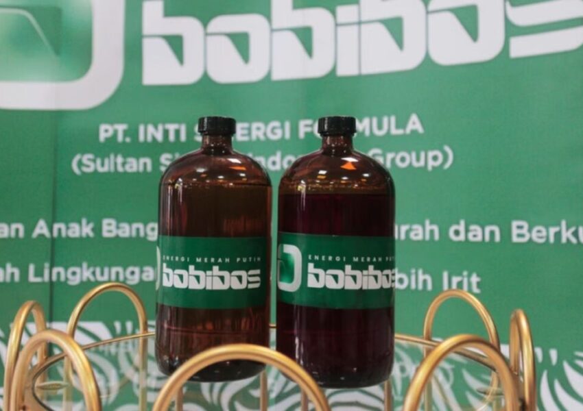 dok Bobibos