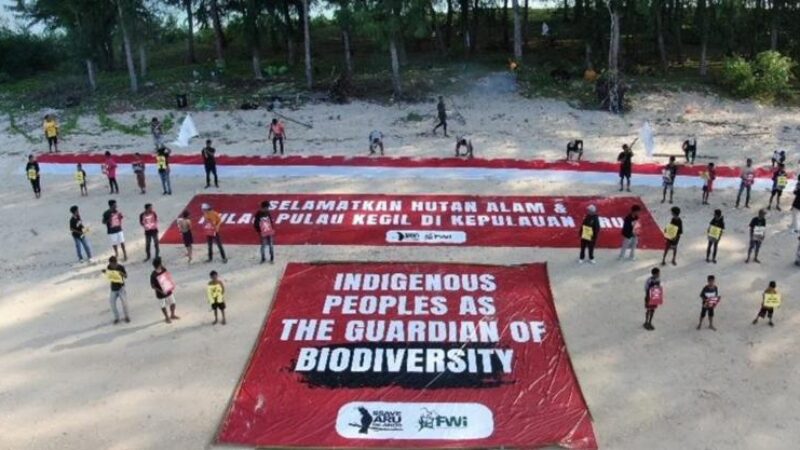 pemuda-adat-membentangkan-spand-raksasa-untuk-selamatkan-hutan-aru_241029140543-463