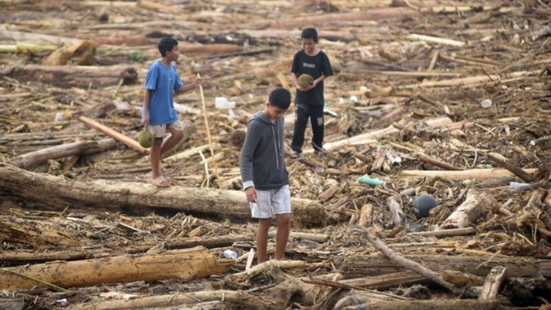 Kayu hanyut pascabencana Sumatra