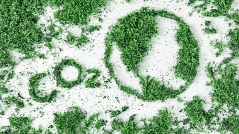 Lettering CO2 and drawing planet earth from grass and moss. The concept of ecology, air pollution and global warming.