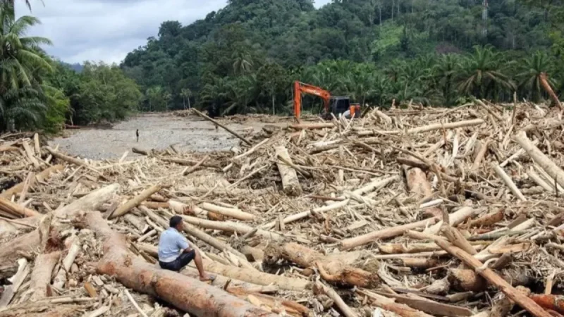 sampah-gelondongan-banjir-bandang-di-tapanuli-selatan-29112025-yudi-4.jpg-edited