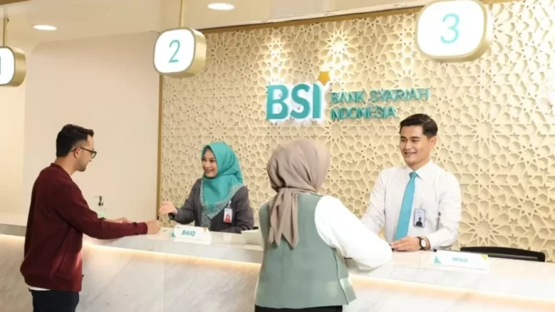 Dok BSI