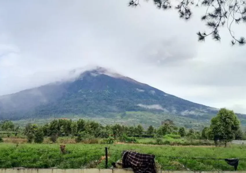Dok Promedia Teknologi