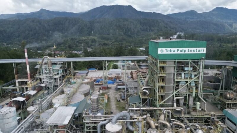 Dok Toba Pulp Lestari