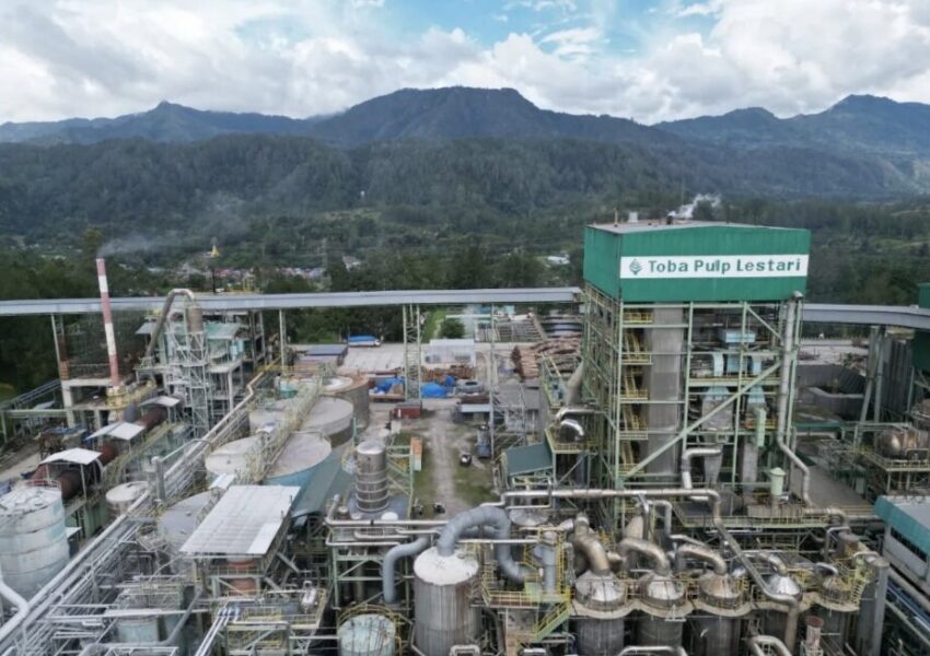 Dok Toba Pulp Lestari