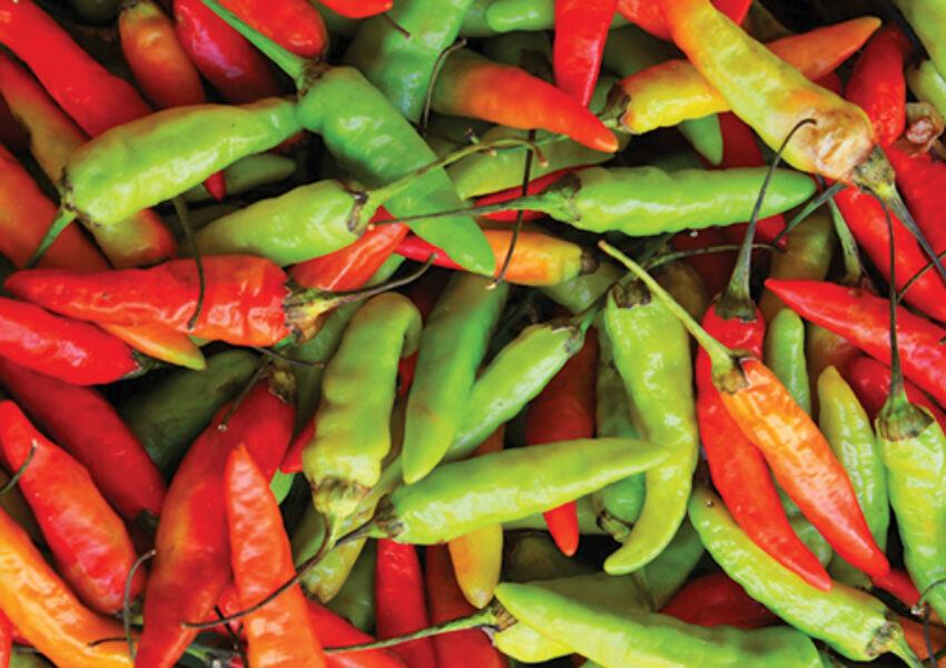 Cabai rawit