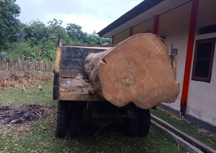 Dok Kemenhut
