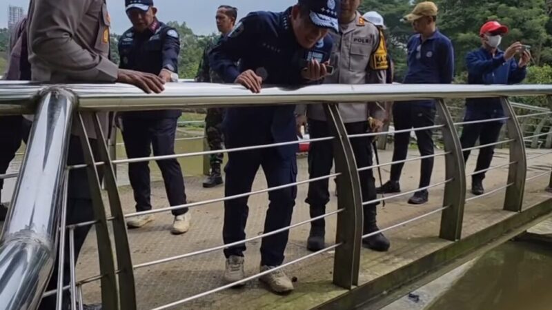 Screenshot_20260213_182515_Instagram