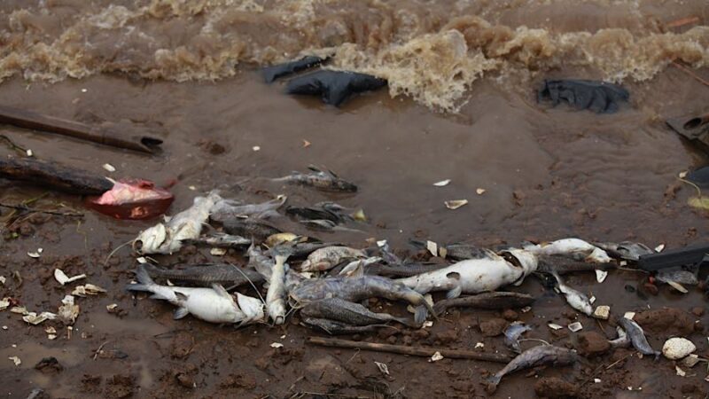 dok Bloomberg Technoz:Andrean Kristianto