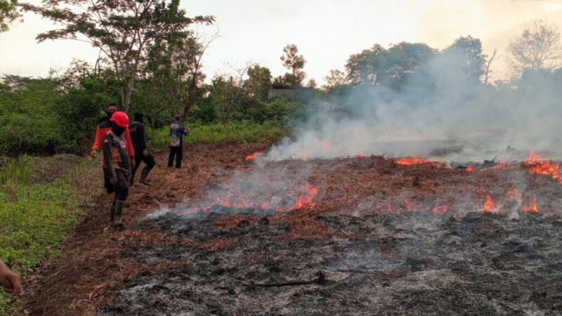 Ilustrasi Karhutla di Indonesia