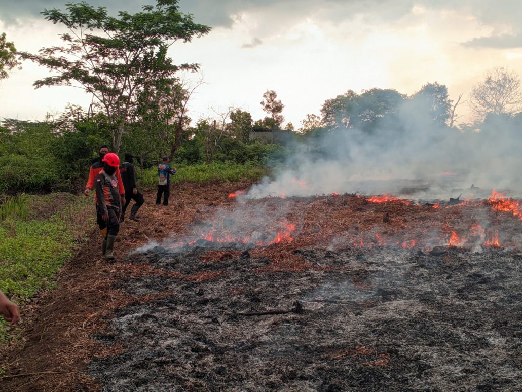 Ilustrasi Karhutla di Indonesia