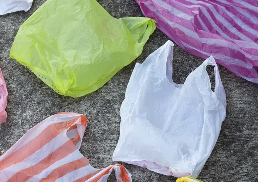 Eco-Friendly-Bag-Alternatives.jpg