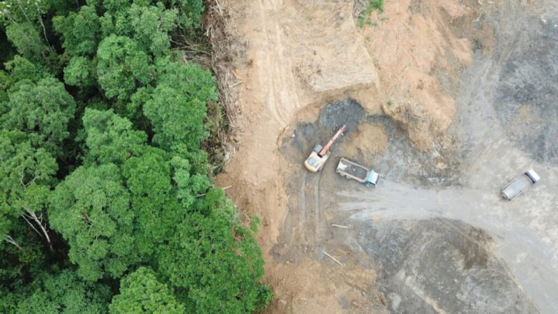 Ilustrasi Deforestasi