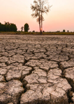 Ilustrasi El Nino. dok shutterstock