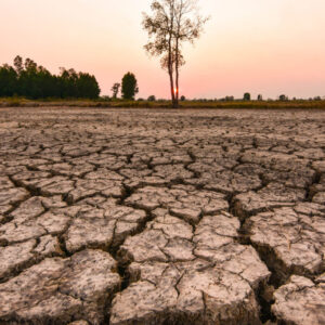 Ilustrasi El Nino. dok shutterstock