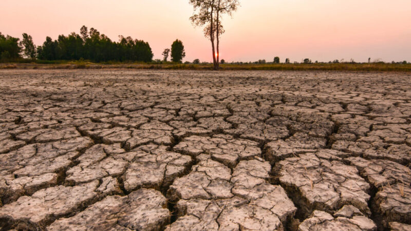 Ilustrasi El Nino. dok shutterstock