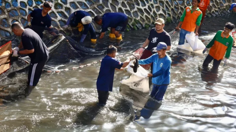 Penangkapan Sapu-sapu di Jakarta Pusat