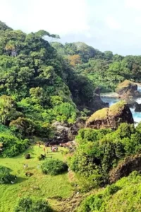 Taman Nasional Ujung Kulon