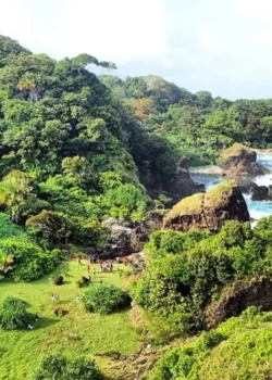 Taman Nasional Ujung Kulon
