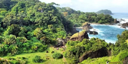 Taman Nasional Ujung Kulon