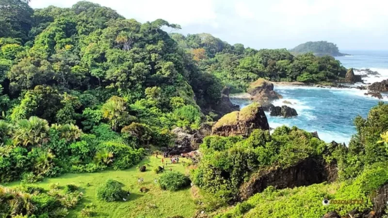 Taman Nasional Ujung Kulon