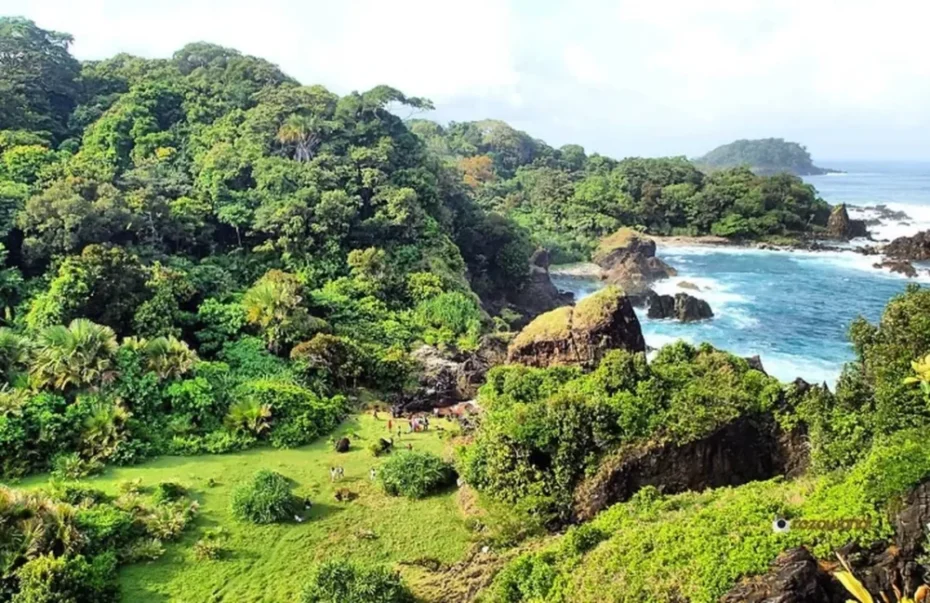 Taman Nasional Ujung Kulon