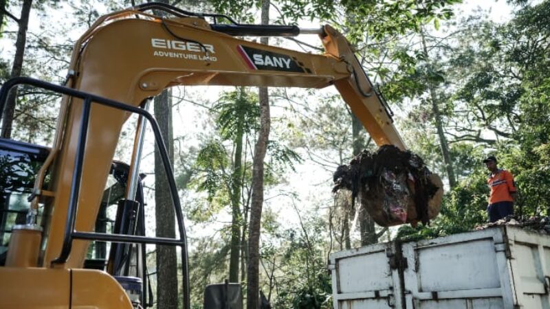 WhatsApp Image 2026-04-06 at 15.43.45