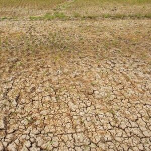 ilustrasi-kekeringan