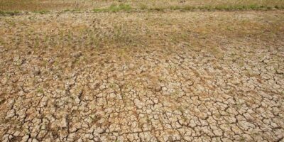 ilustrasi-kekeringan